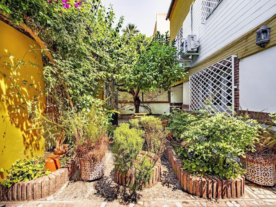Villa Casa Limonero Con Parking Gratis Junto A Centro Historico Granada Exterior foto