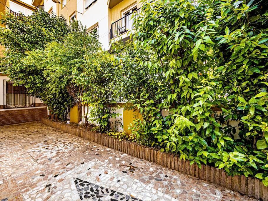 Villa Casa Limonero Con Parking Gratis Junto A Centro Historico Granada Exterior foto
